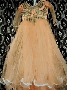 Elegant Ethnic Gown 😍