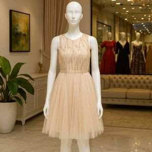 Blush Tulle Mini Dress