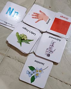 All In One  Flesh Card