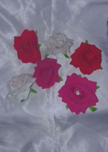 Hair Clips
