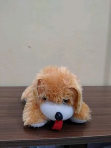 Cute Soft Light Weight Dog