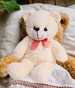 Cute Teddy Bear