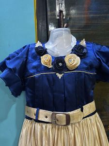 Cute Girl&#39;s Party Dress