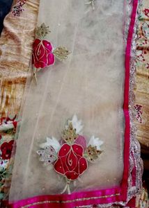 Heavy Work Dupatta