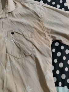 Casual Beige Shirt