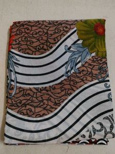 Rajnandni Fancy Saree