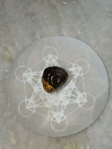 Tiger Eye Buddha Head