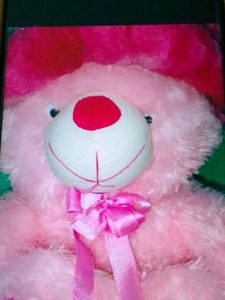 Teddy Bear Soft Toy