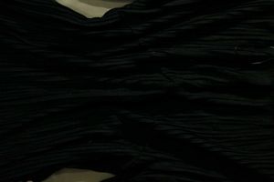 Zara Black Sheer Dress Without Corset Belt