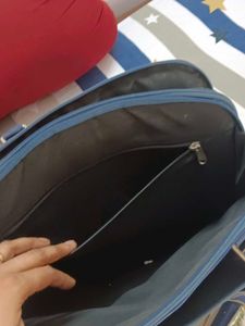 ORIGINAL Baggit Laptop Handbag - No Flaws