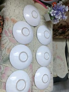 Saucers (Quality Product)