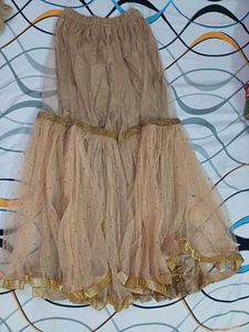 Elegant Embroidered Indian Outfit