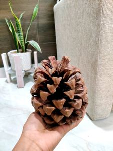 1 Pc Pine Cone Decorative