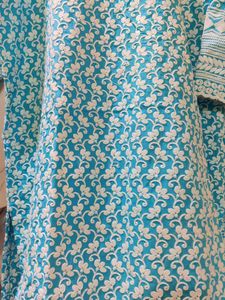 brand new chikankari kurta XXL