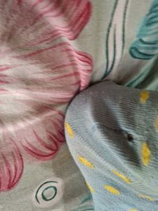 Used Socks
