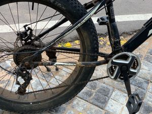 Fire Catcher Fat Tire Bicycle