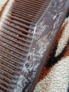 Vintage Brown Hair Comb