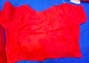 Red Embellished Saree With Blouse And Peticoat