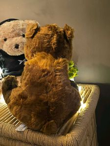 Collectible Disney Brand  Plush Bear