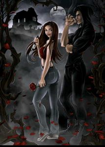 2 books combo Haunting Adeline and Hunting Adelin