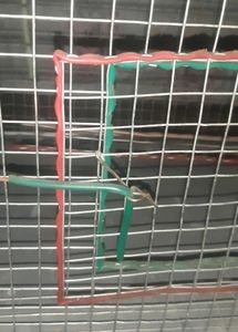 New Bird Cage
