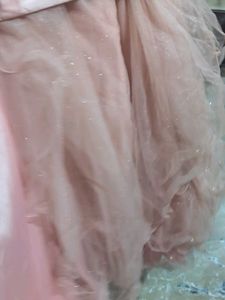 Peach Organza lehnga