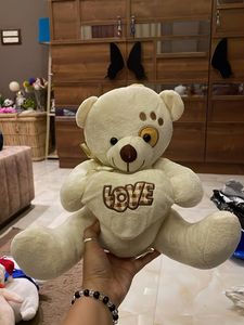 Cute Teddy Bear with &#39;Love&#39; Heart