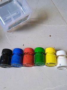 Camlin Poster Colour Set Of 6 Shades