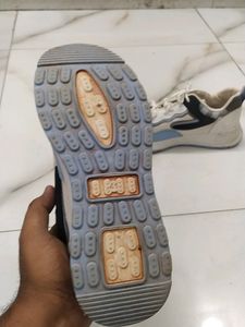 Campus Shoe