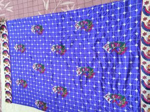 Elegant Blue &amp; Cream Saree