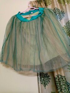 Shining Green Skirt