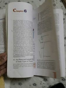 NCERT SCIENCE CLASS 9