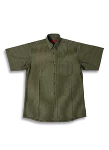 Striped Casual Shirt