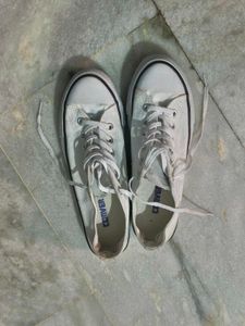 White Converse Sneakers