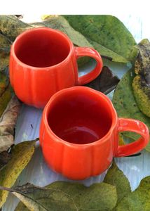 Imported Pumpkin Mugs Set