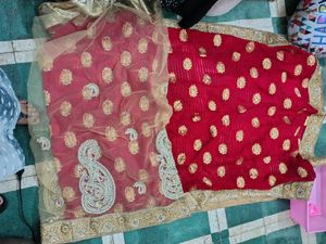 Heavy Wedding Saree Net With Fabric