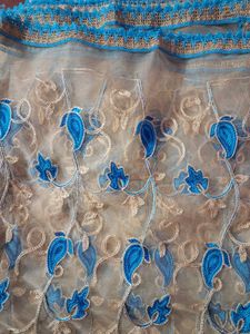 Net Embroidery Duppatta