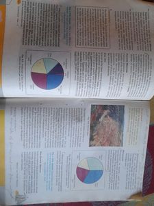 NCERT class 10 geography