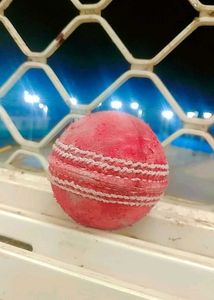 Leather Cricket Ball