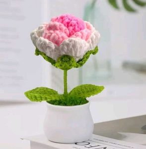 Crochet Flower Pot