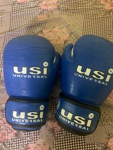 ISI Boxing Gloves - Blue