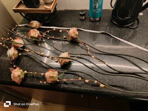 Floral Stem Arrangement