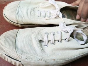 Cotton White Shoes