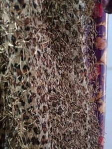 Leopard Print Scarf