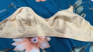 Bra With Plastic Strips