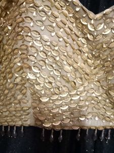 Designer Lehenga Skirt And Blouse