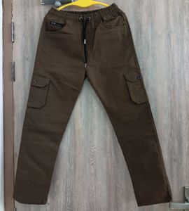 Coffe Brown Men Cargos