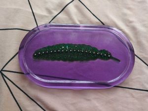 Resin Feather Tray