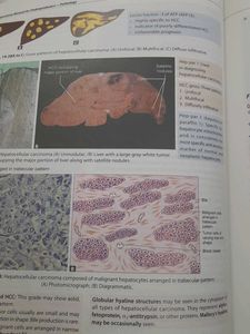 Ramdas Nayak Pathology Book Edition 4
