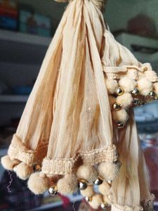 Elegant Beige Dupatta